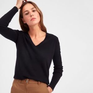 Everlane 100% cashmere v neck sweater